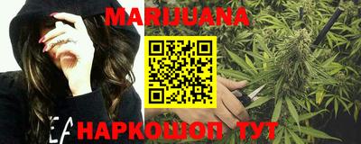 гашик Новодвинск